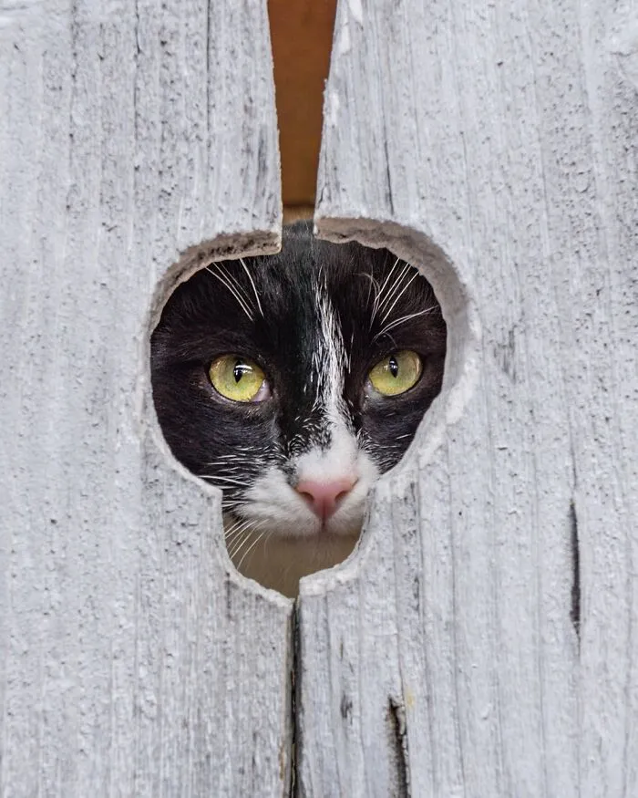 “Framed Moments”: 34 Photos That I Took