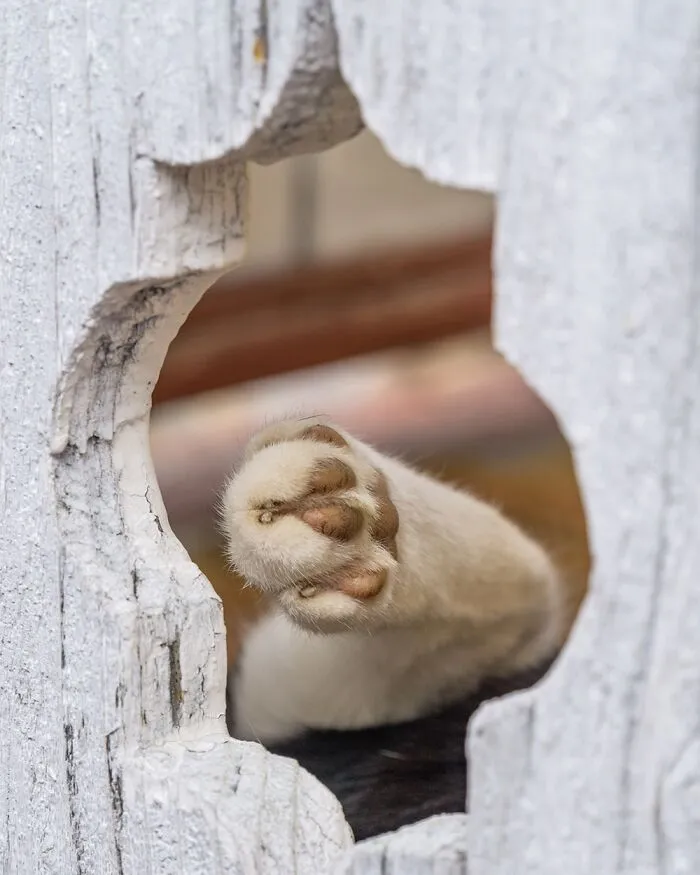 “Framed Moments”: 34 Photos That I Took