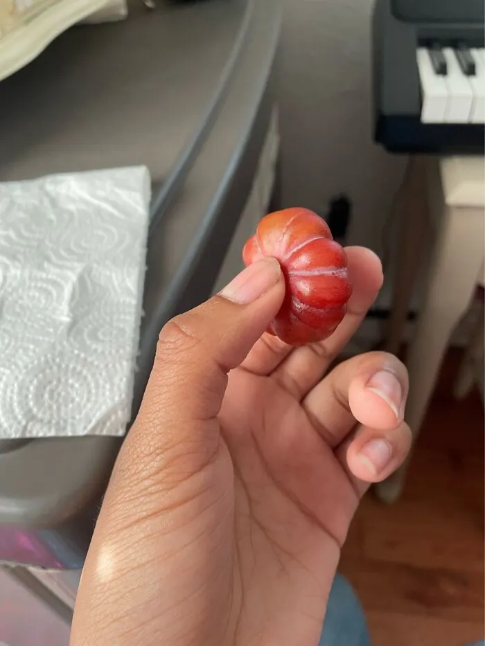 Alien Grape?