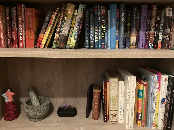 Lots Of Outdoorsy Books And Bird Guides. Organized By Color!