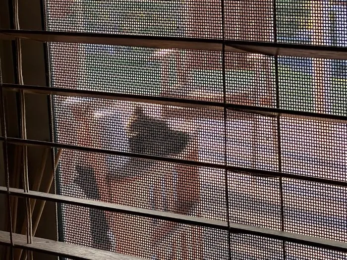 Hanging Out On The Back Deck