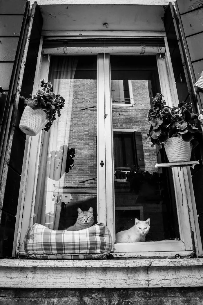 Bagigio & Trilly