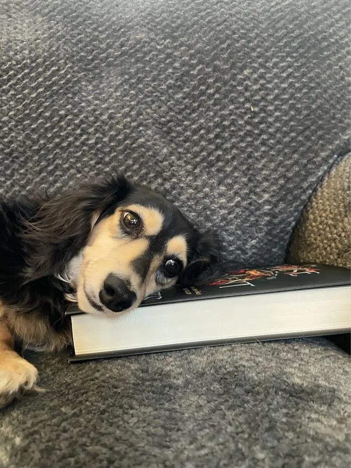Osmosis Reading