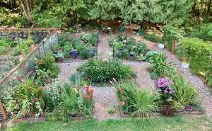 Hey Pandas, Please Show Us A Current Picture Of Your Gardens (Closed)