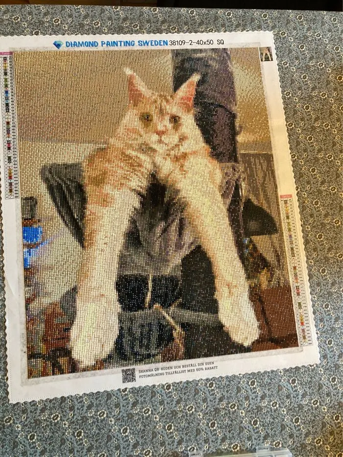 Large Diamond Painting Depicting Our Cat