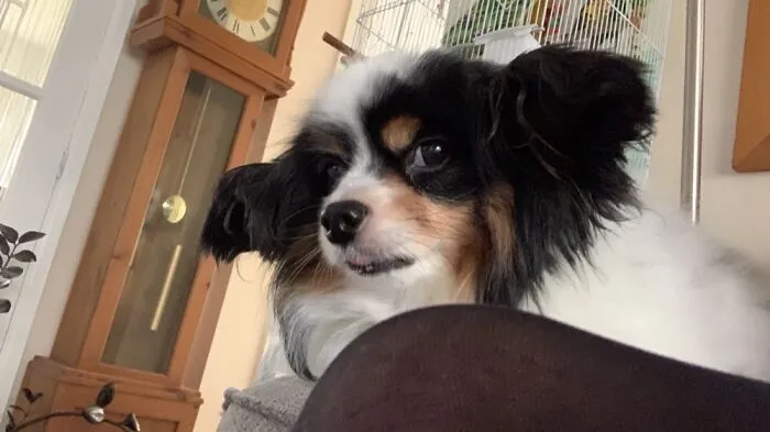 Plotting Something?