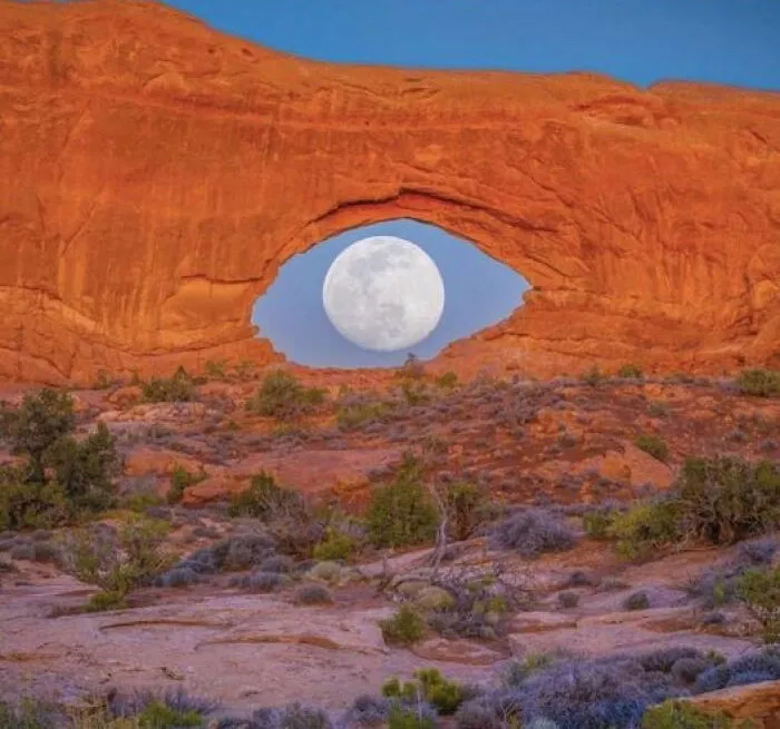 Desert Gaze