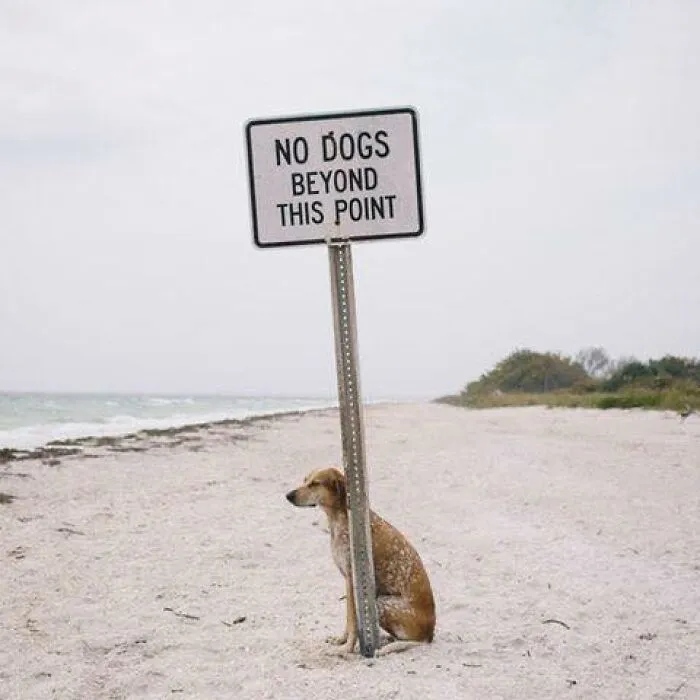 Flirting With The Rules