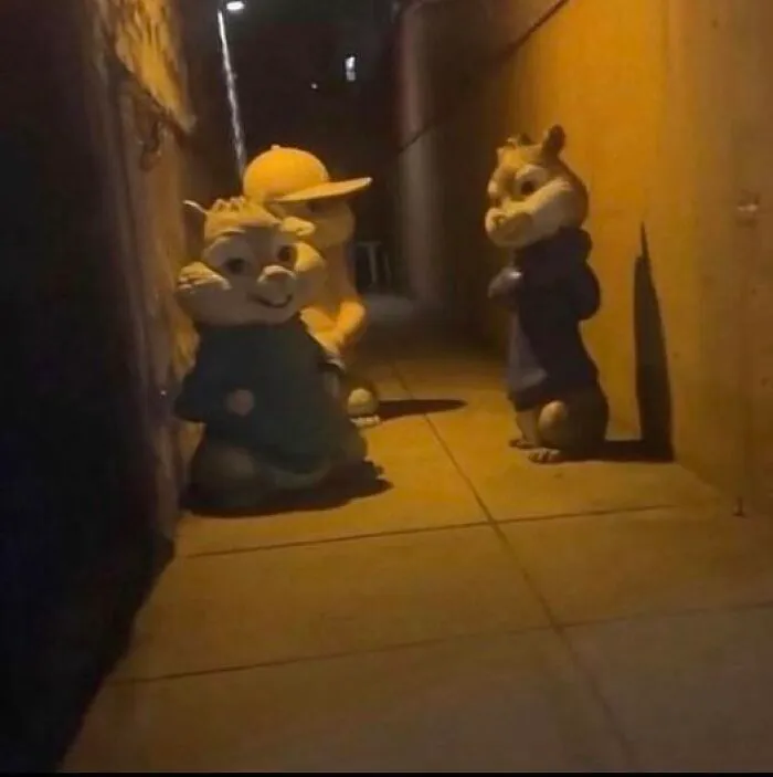 Callejón equivocado