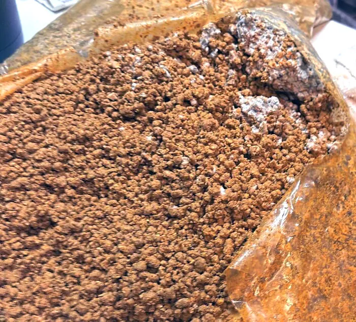 I Was Told Mold Is Just Penicillin