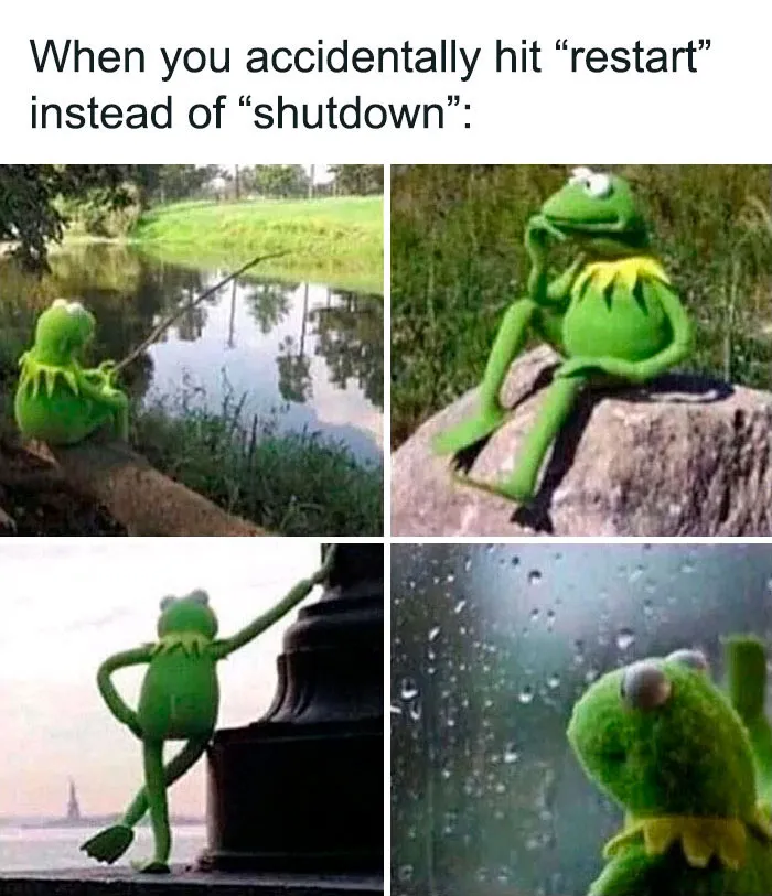 55 Kermit The Frog Memes That Might Make Your Day