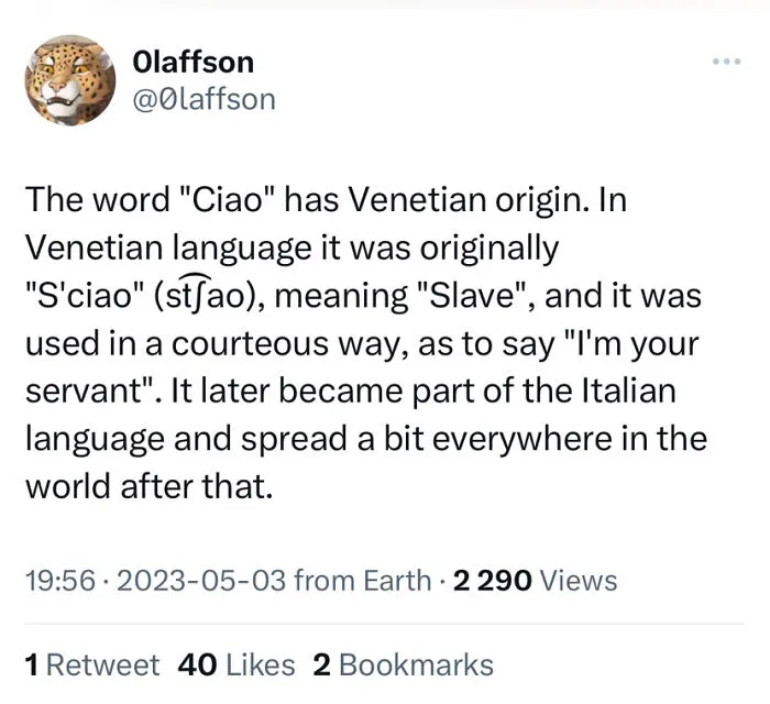 “It Will Irritate You Very Slightly For The Rest Of Your Life”: 30 Cool Language Facts
