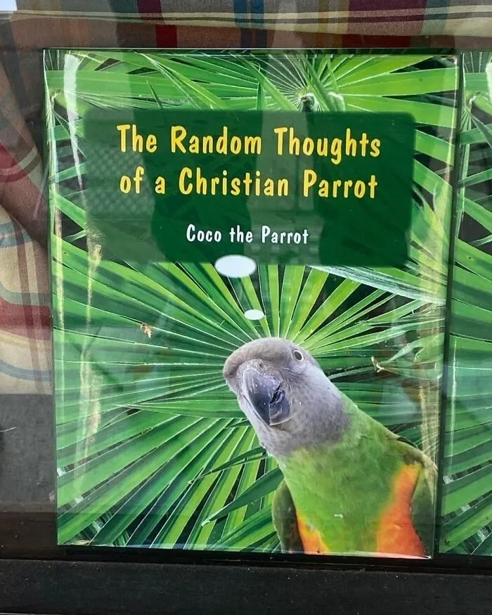 35 Times People Were ‘Lucky’ To Find These Gems While Thrifting That Were Too Bad Not To Share (New Pics)