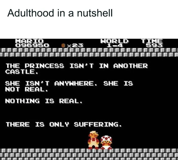 Retro Mario meme showing a humorous twist on the classic “princess is in another castle” message.