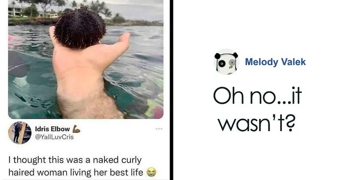 11M People Follow This Meme Page Called “Men’s Humor”, And Here Are 40 Of The Best Ones (New Pics)
