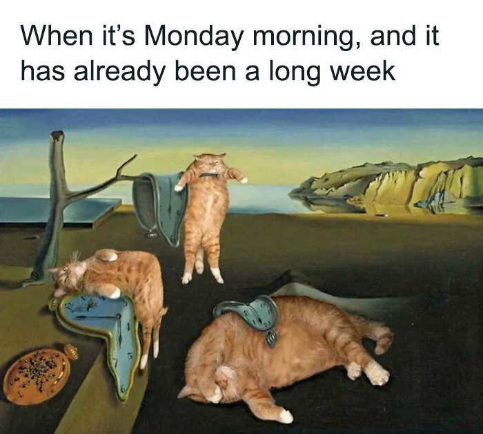 The Long Week on Monday Mornings