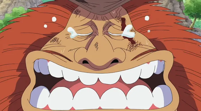 162 One Piece Quotes That Should Make You Rewatch It