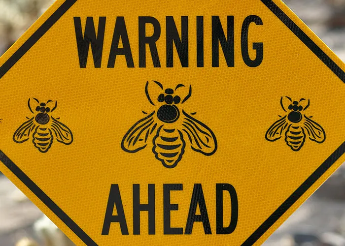 “Danger Can Sneak Up On You”: 30 Americans Share Places To Avoid At All Costs