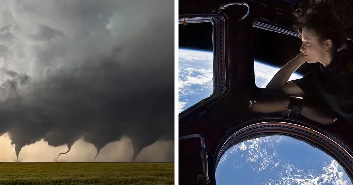 Wikimedia Commons: Here Are The 45 Best Pictures Of 2006-2022 Chosen By This Community