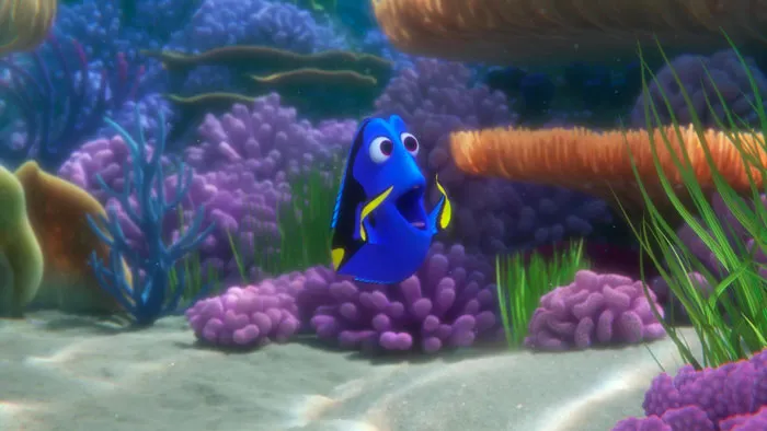 Finding Dory