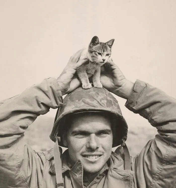 World War II – Iwo Jima