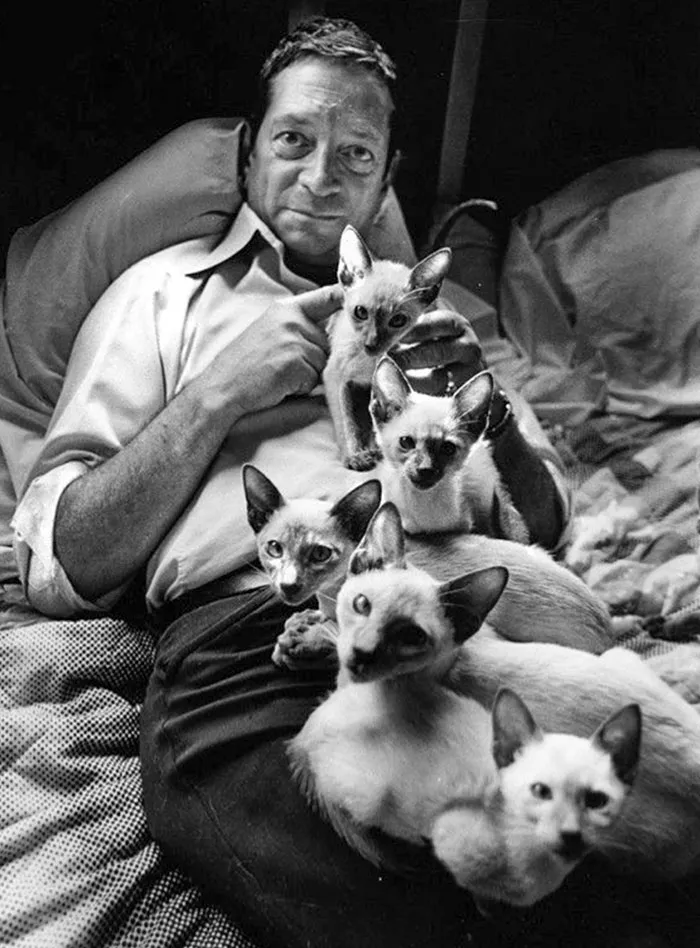 Cat Fancier Phil Morini And His Cats
