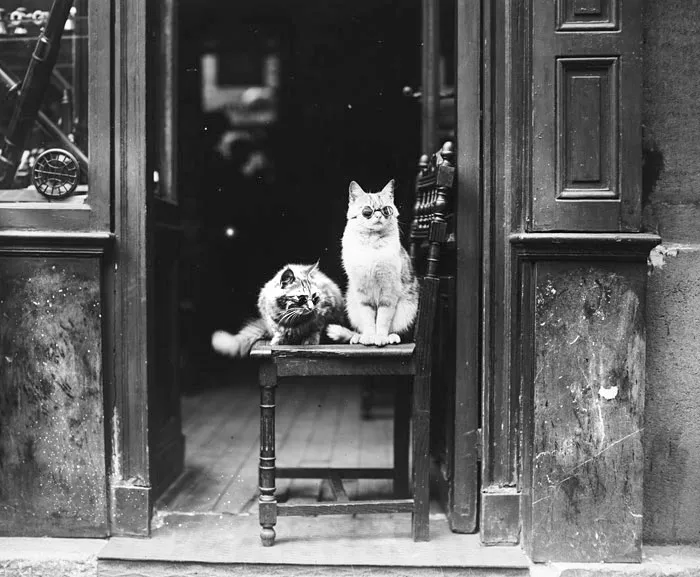 Original Advertisement For An Optician On Boulevard St. Germain, 1925