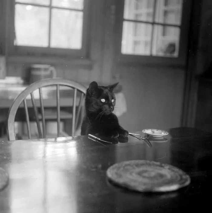 Waiting For Dinner