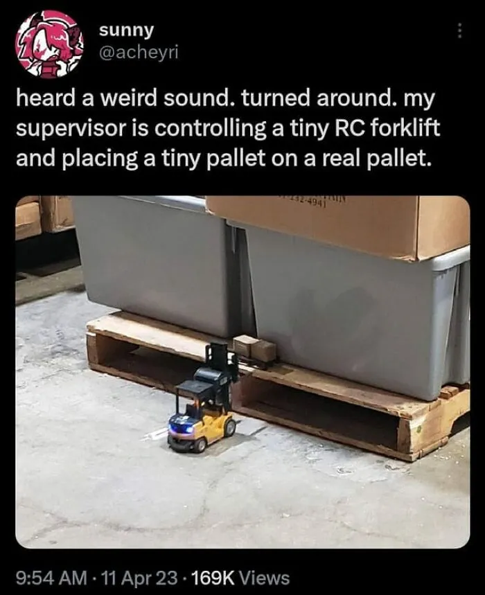Watch Your Ankles, Folks!