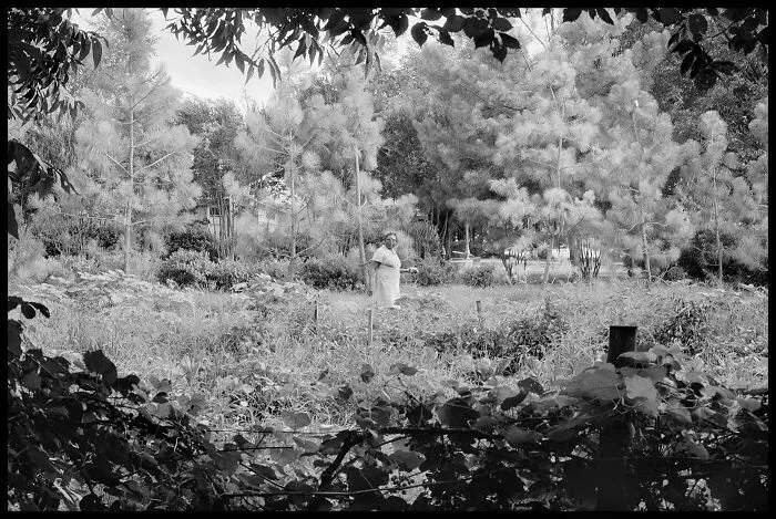 Cully In Garden