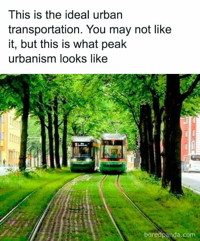 I Love Me Some Grassy Trams