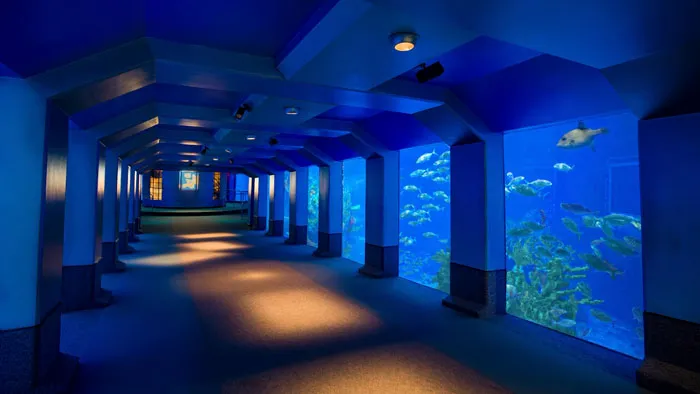 50 Little-Known Disney World Facts To Intrigue Or Concern