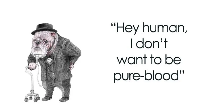 24 New Uncomfortable Illustrations This Artist Created About Animal Cruelty