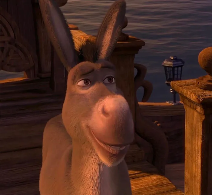 Who Knew Donkeys Were Brainiacs?