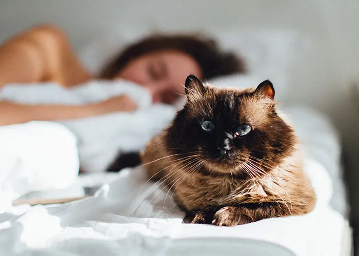 45 Small Habits That Had A Massive Positive Effect On These People’s Lives