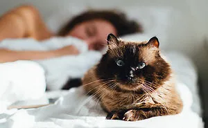 45 Small Habits That Had A Massive Positive Effect On These People’s Lives