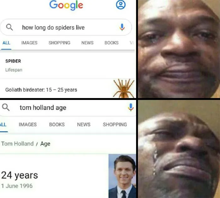 Spider Feels Versus Reality