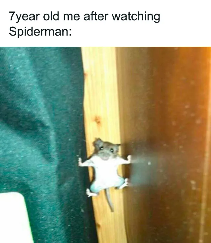 Spider Skills Unlocked