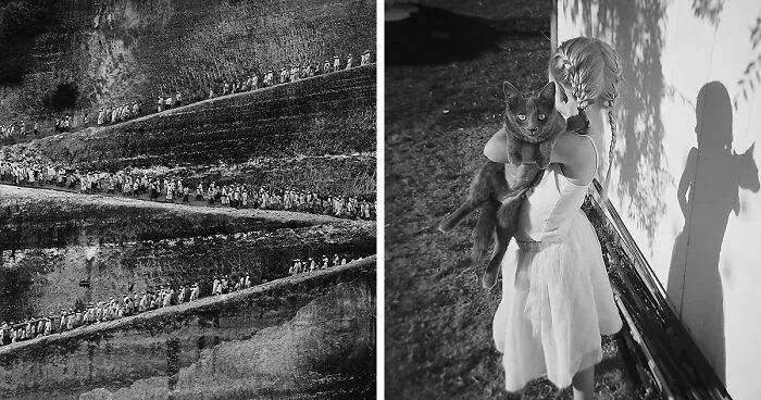 25 Of The Most Beautiful Black And White Images Taken By Photographers From All Over The World