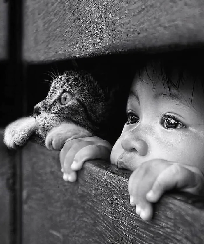 50 Examples Of The Most Amusing And Touching Cat Photos As Shared On This Insta Page
