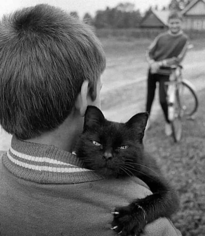50 Examples Of The Most Amusing And Touching Cat Photos As Shared On This Insta Page