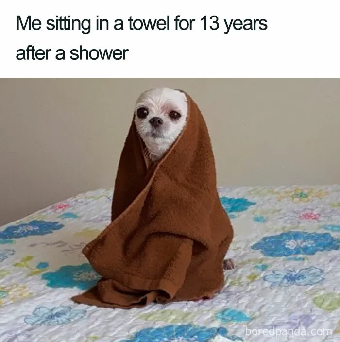 Relatable-Memes-Hilarioustextx