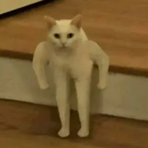 Buffcat