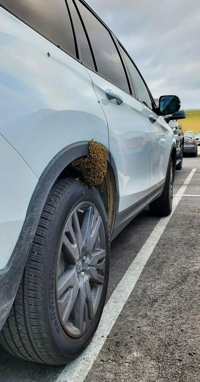 Found My Car Like This When I Took A Break At Work