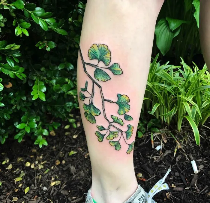 Gingko Tree Tattoo