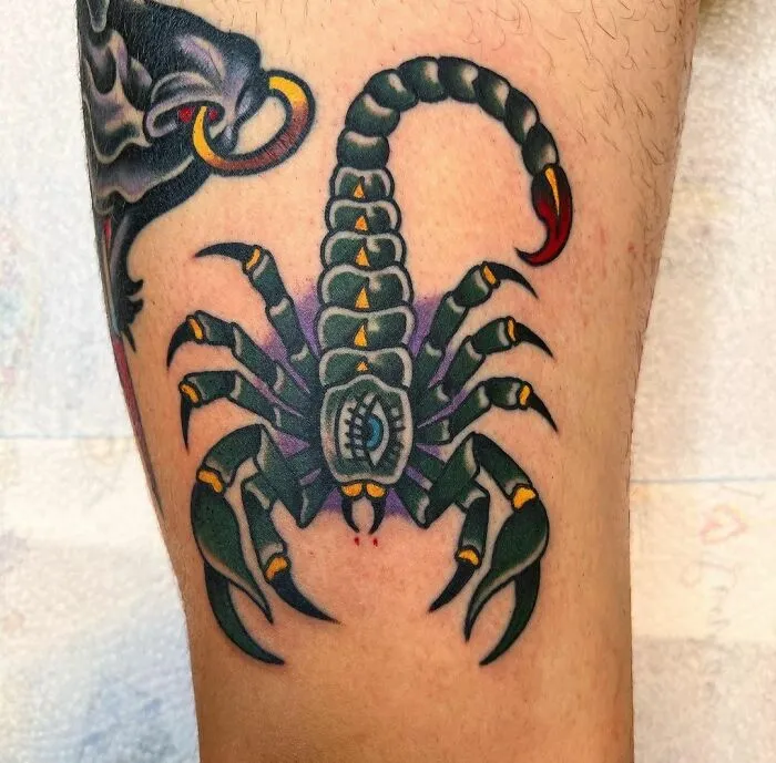 American traditional tattoo design of a scorpion on skin, featuring bold colors and detailed lines.