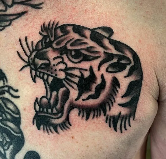 Roaring tiger American traditional tattoo design on skin.