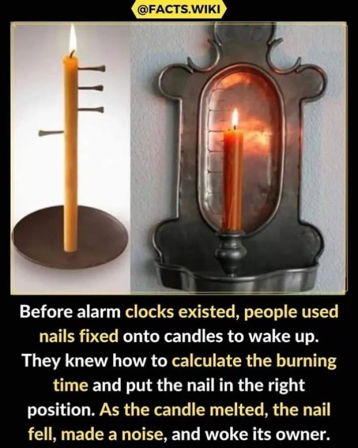 Did You Know?