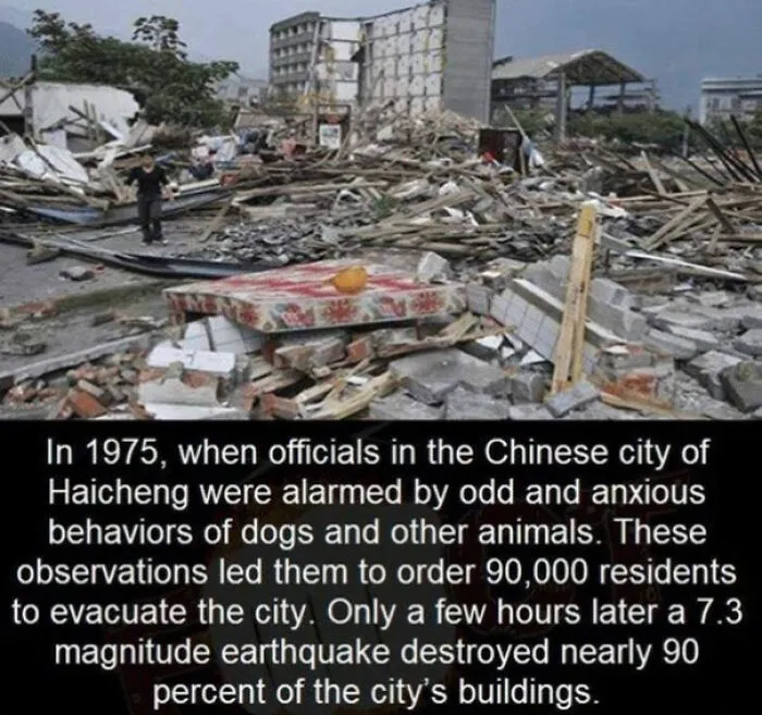 Did You Know?