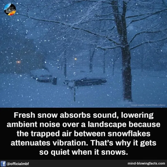 Did You Know?